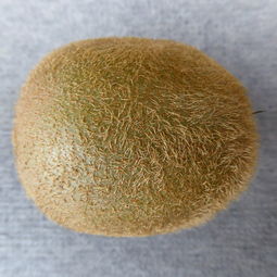 蚕丝尿不湿十大品牌全解析