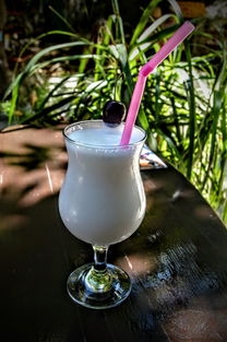 奶掌柜旗下奶茶品牌深度解析