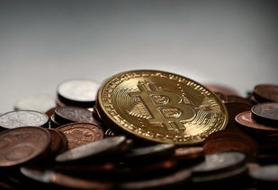 京东白条提现攻略，轻松把虚拟额度变成真金白银！
