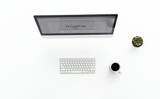 测量仪牌子选择指南，哪个品牌更值得你信赖？