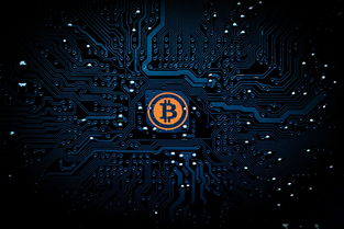 揭秘白条提现的真相，如何安全高效地利用白条进行资金周转