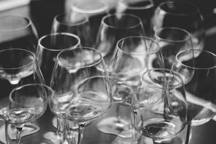 江苏酱酒白酒品牌，深度解读与案例分享