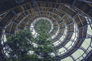 揭秘古建吊顶品牌，传承与创新的完美融合