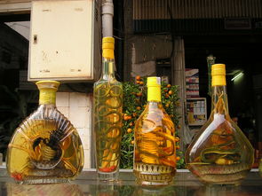 莘县白酒品牌一览，品味莘县的酒香世界