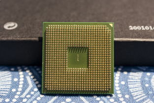 现代CPU品牌概览，从英特尔到AMD，还有更多选择