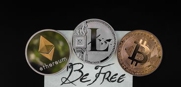 掌握白条提现技巧，轻松实现资金自由