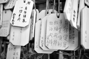 揭秘抖音月付的奥秘，为何不能轻松套现？