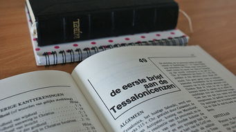 中国西餐品牌概览与案例分析