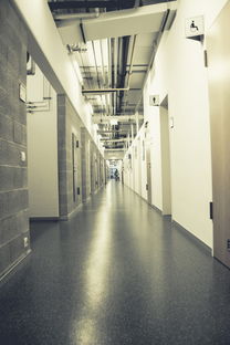辽宁学校塑胶地板品牌精选与案例分析