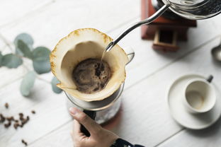 醒酒茶叶品牌大盘点