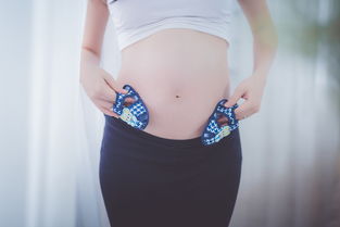 中领保暖女内衣品牌全面解析