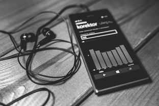 怎样把退到抖音月付的钱提现—详解教程与案例分享