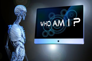抖音月付可提现么？深度解析与实用指南