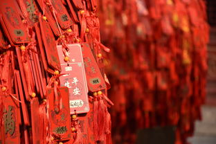 探秘旗袍—中国的传统与时尚的融合