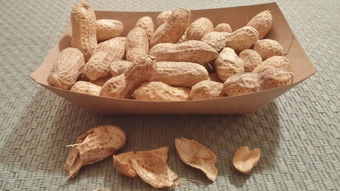 积极打造富硒坚果品牌，引领健康食品新潮流