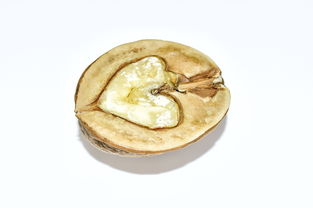 强心养心最好的坚果品牌解析