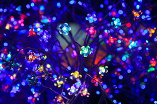 LED灯具品牌精选指南