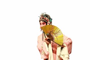 汉服围脖品牌，穿越千年的文化传承与现代时尚的完美融合