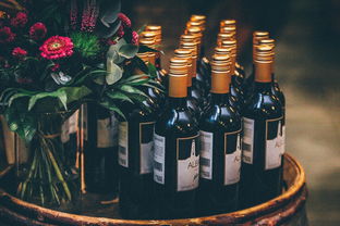 各大白酒品牌代表酒详解